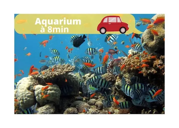 L'iris 8 Min De La Gare Terrasse Netflix * Nancy